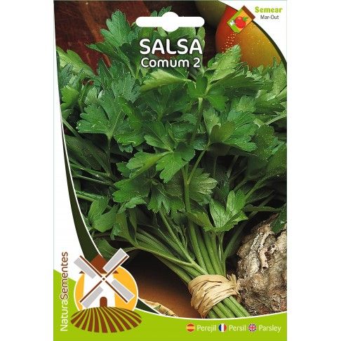 Salsa Comum 2 Salsa Comum 2