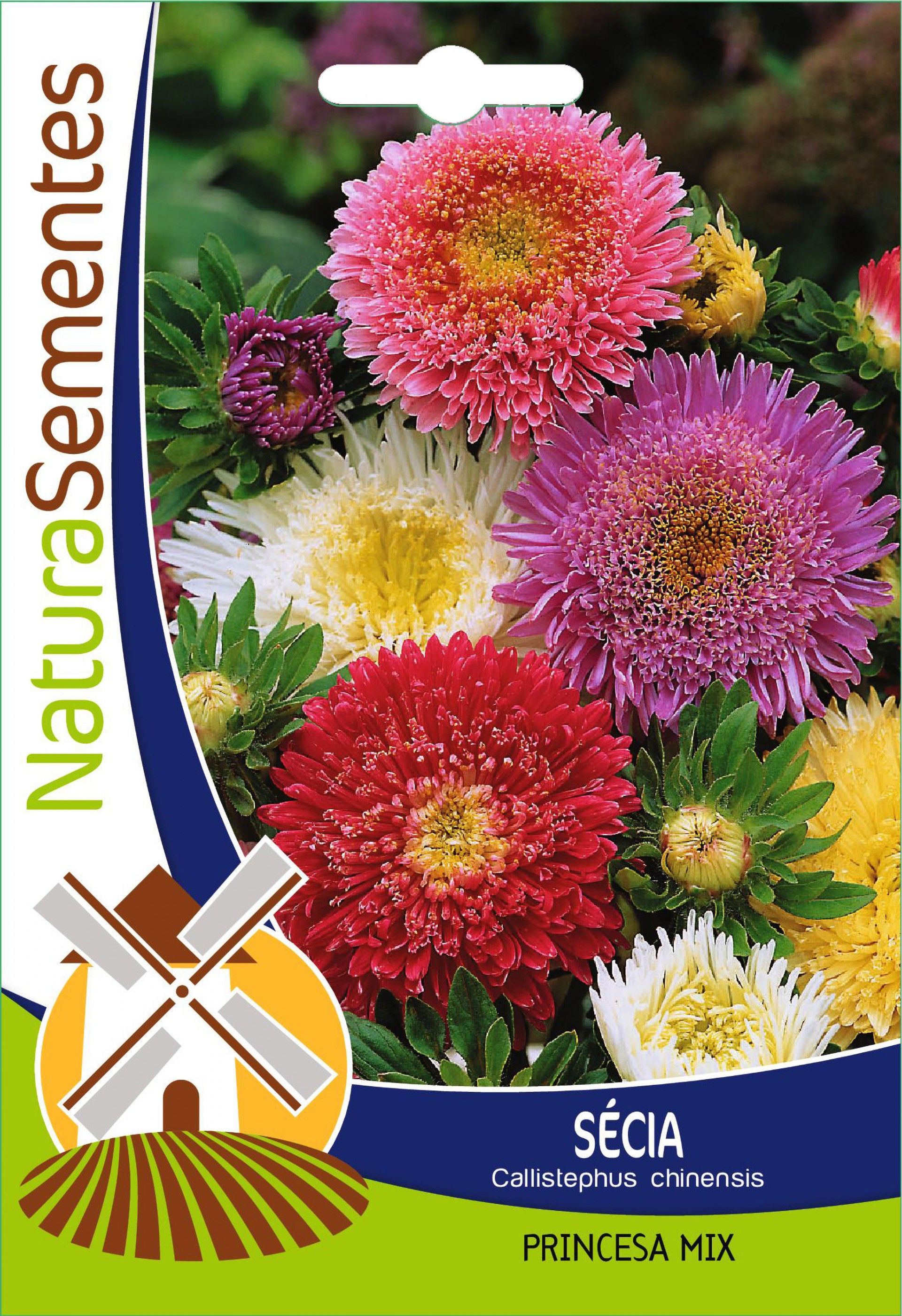 Secias Princesa Mistura