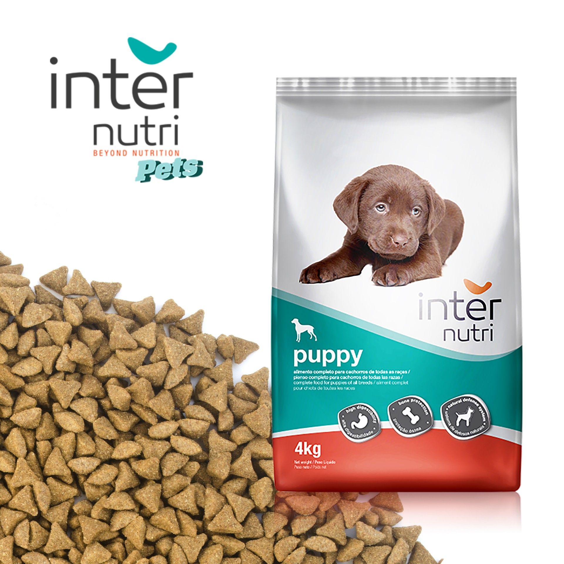Alimento Para Cão New Puppy 4kg