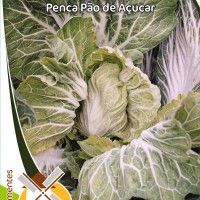 Couve Penca Pão De Açucar Couve Penca Pão De Açucar
