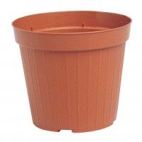 Vaso Cultura Terracota 15cm Vaso Cultura Terracota 15cm