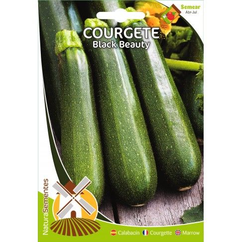 Courgete Black Beauty Courgete Black Beauty