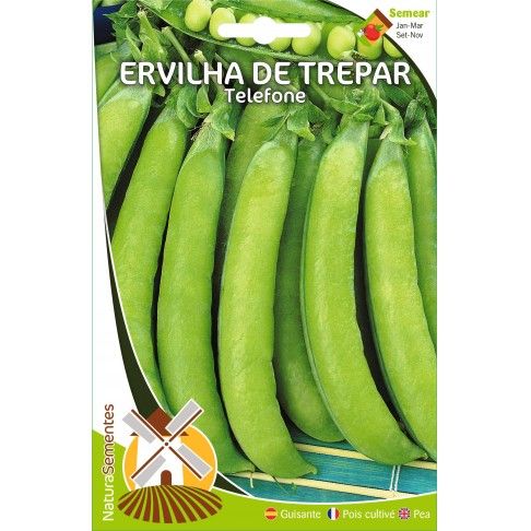 Ervilhas De Trepar Telefone Ervilhas De Trepar Telefone