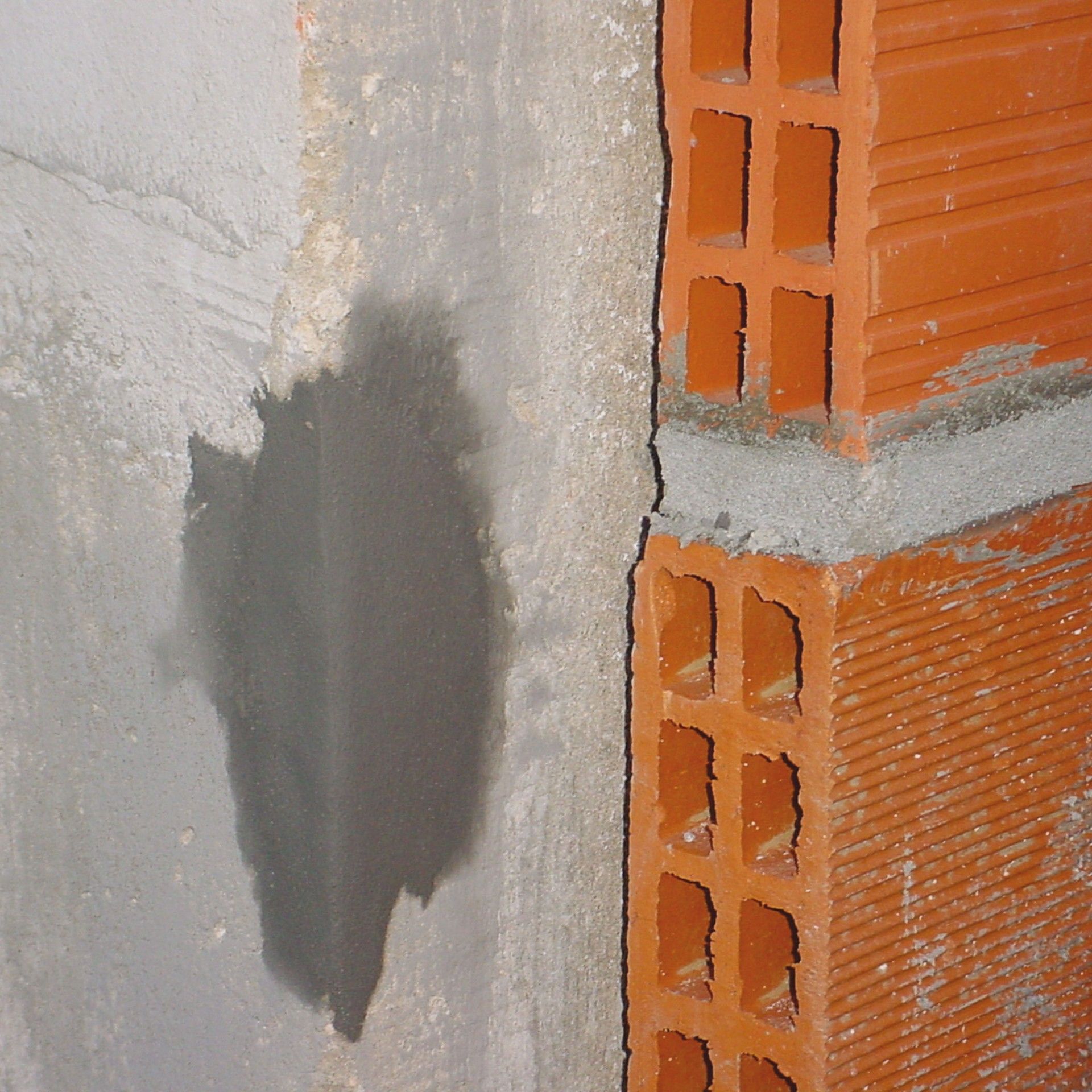 Argamassa Fixação Tec. Rapid 5kg