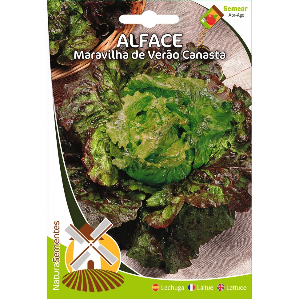 Alface Maravilha De Ver�o Canasta