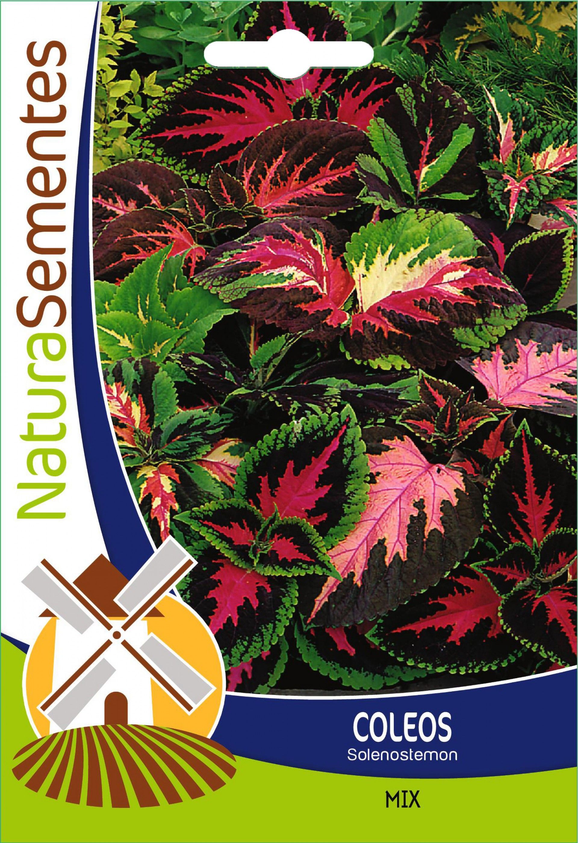 Coleos Mix