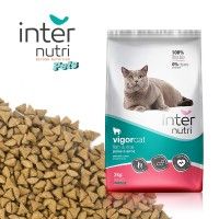Alimento Para Gato Vigor Cat 2kg Alimento Para Gato Vigor Cat 2kg