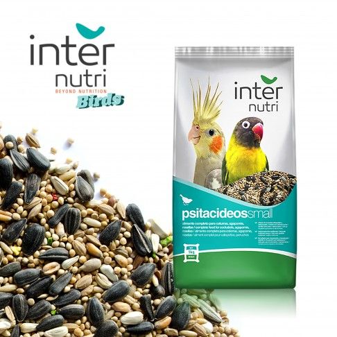 Mistura Caturras Internutri 1kg Mistura Caturras Internutri 1kg