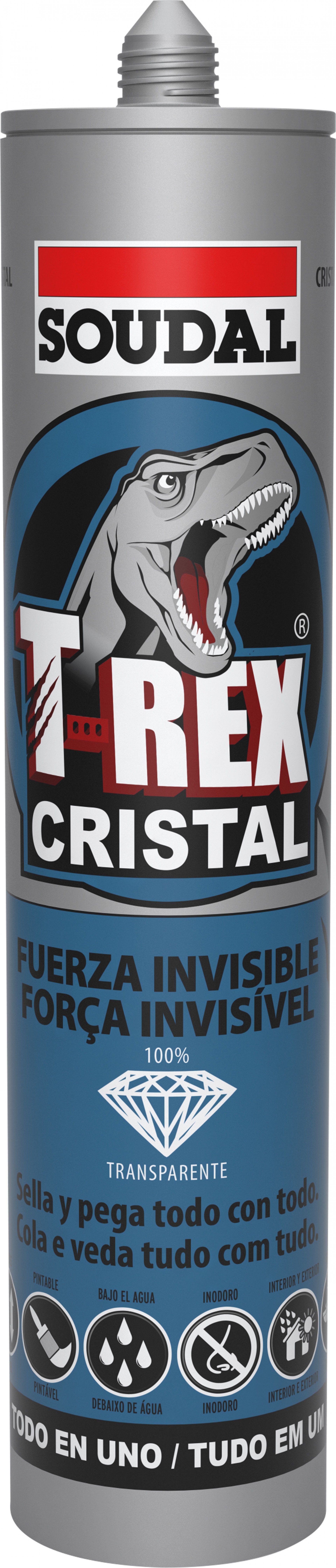 Cola & Veda T-REX POWER Cinza 290ml