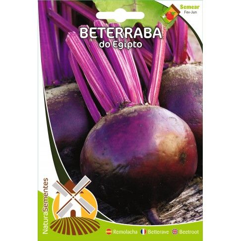 Beterraba Do Egipto