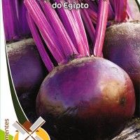 Beterraba Do Egipto