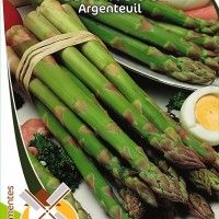 Espargos Argenteuil Espargos Argenteuil