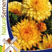Calendulas Mix Calendulas Mix