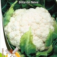 Couve Flor Bola De Neve