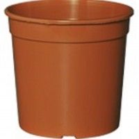 Vaso Cultura Terracota 24cm Vaso Cultura Terracota 24cm
