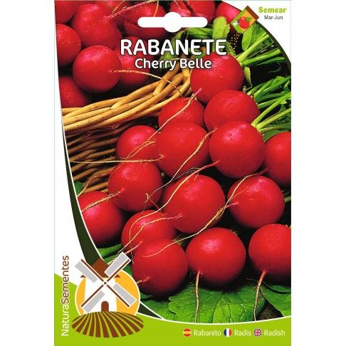 Rabanete Cherry Belle Rabanete Cherry Belle