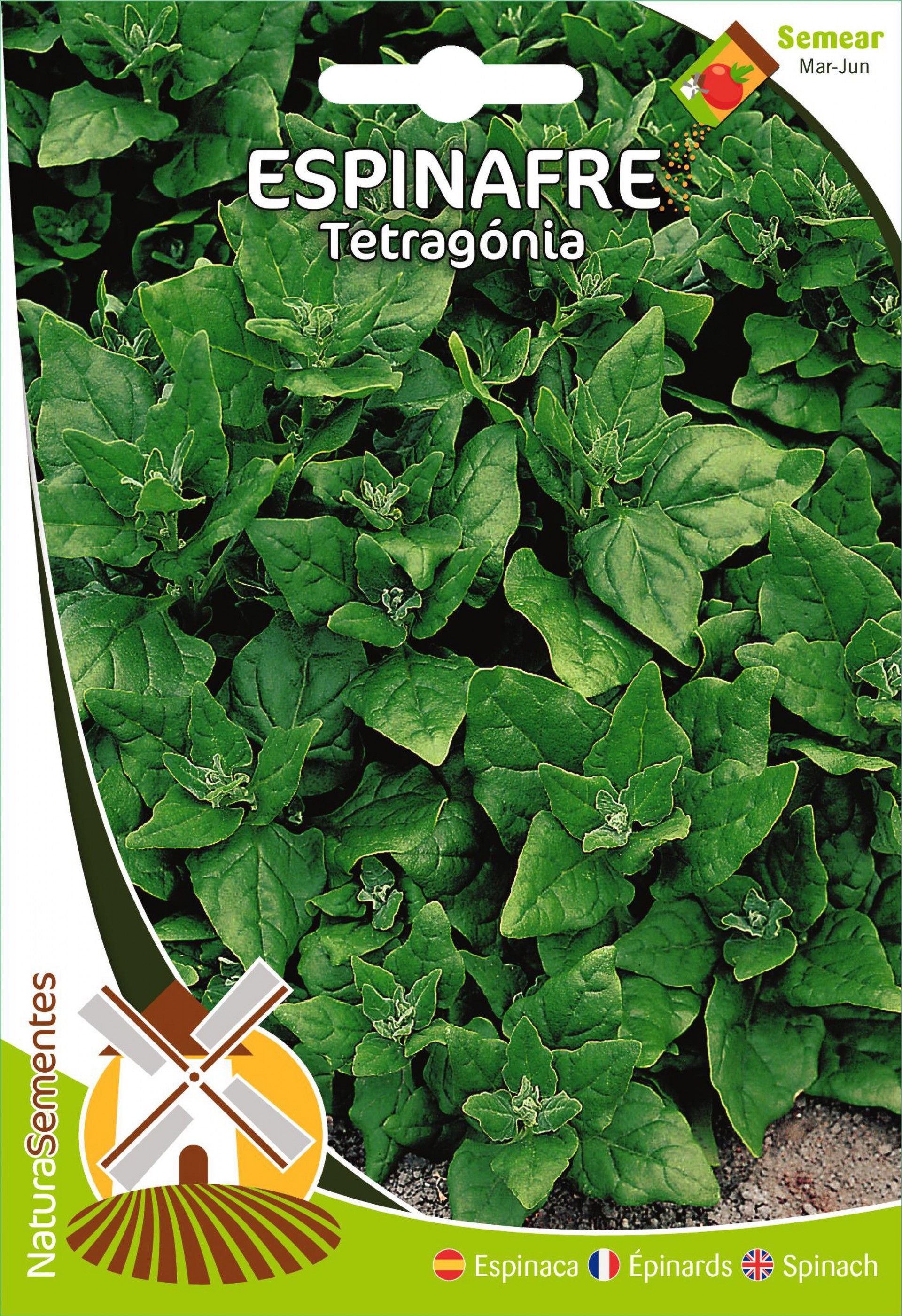 Espinafre Tetragónia