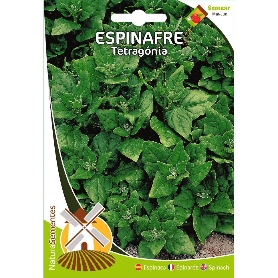 Espinafre Tetrag�nia