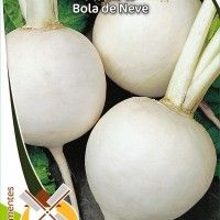 Nabo Bola De Neve Nabo Bola De Neve