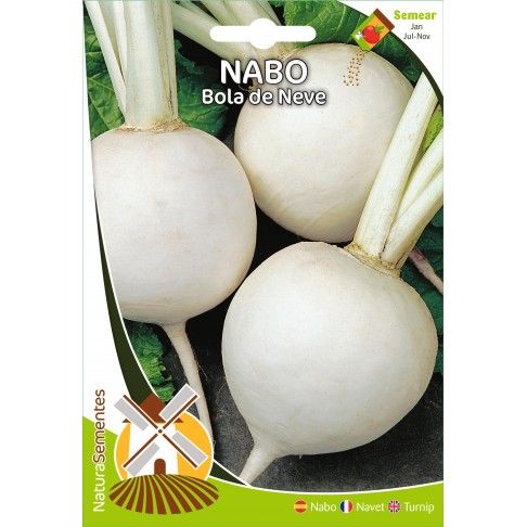 Nabo Bola De Neve Nabo Bola De Neve
