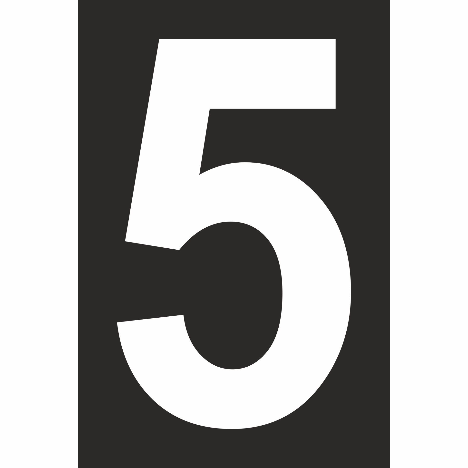 Número 5 PVC Preto