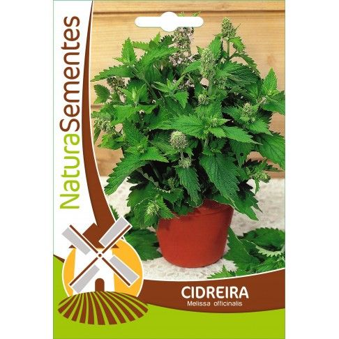 Cidreira Cidreira