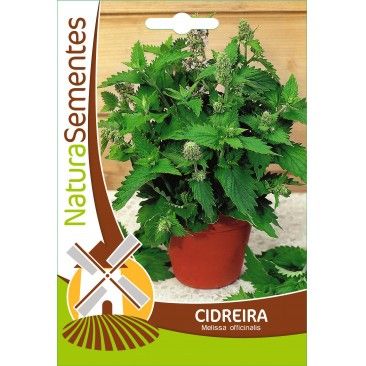 Cidreira
