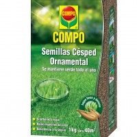 Semente Relva Ornamental 1kg Semente Relva Ornamental 1kg