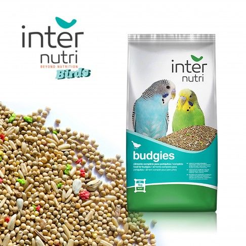 Mistura Periquitos Internutri 1kg