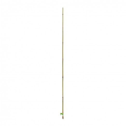 Tutor Bambu 90cm Tutor Bambu 90cm