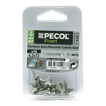 Parafuso Auto-Roscante Cabe�a Queijo INOX A2 DIN7981 4,2x13