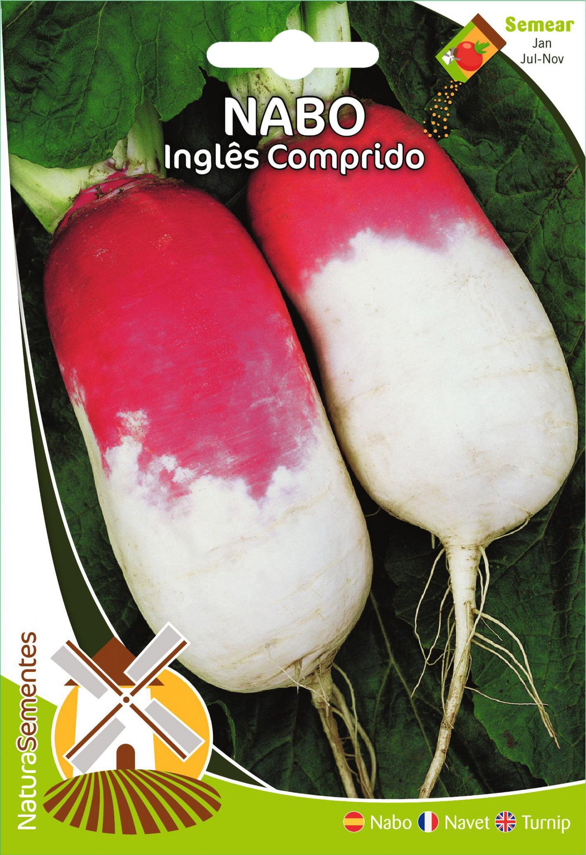 Nabo Inglês Comprido