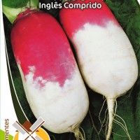 Nabo Inglês Comprido Nabo Inglês Comprido