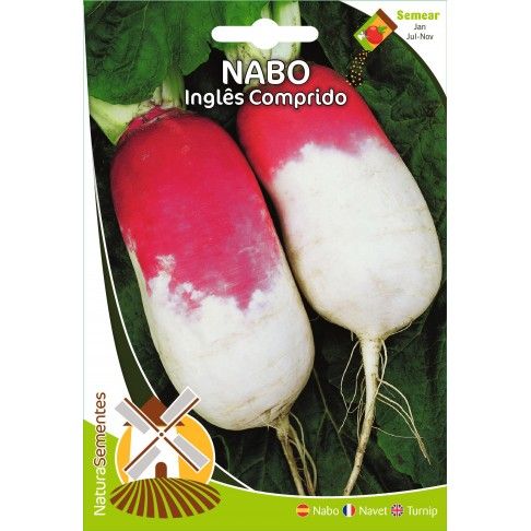 Nabo Inglês Comprido Nabo Inglês Comprido