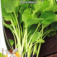 Couve Nabiça Doce Maria Couve Nabiça Doce Maria
