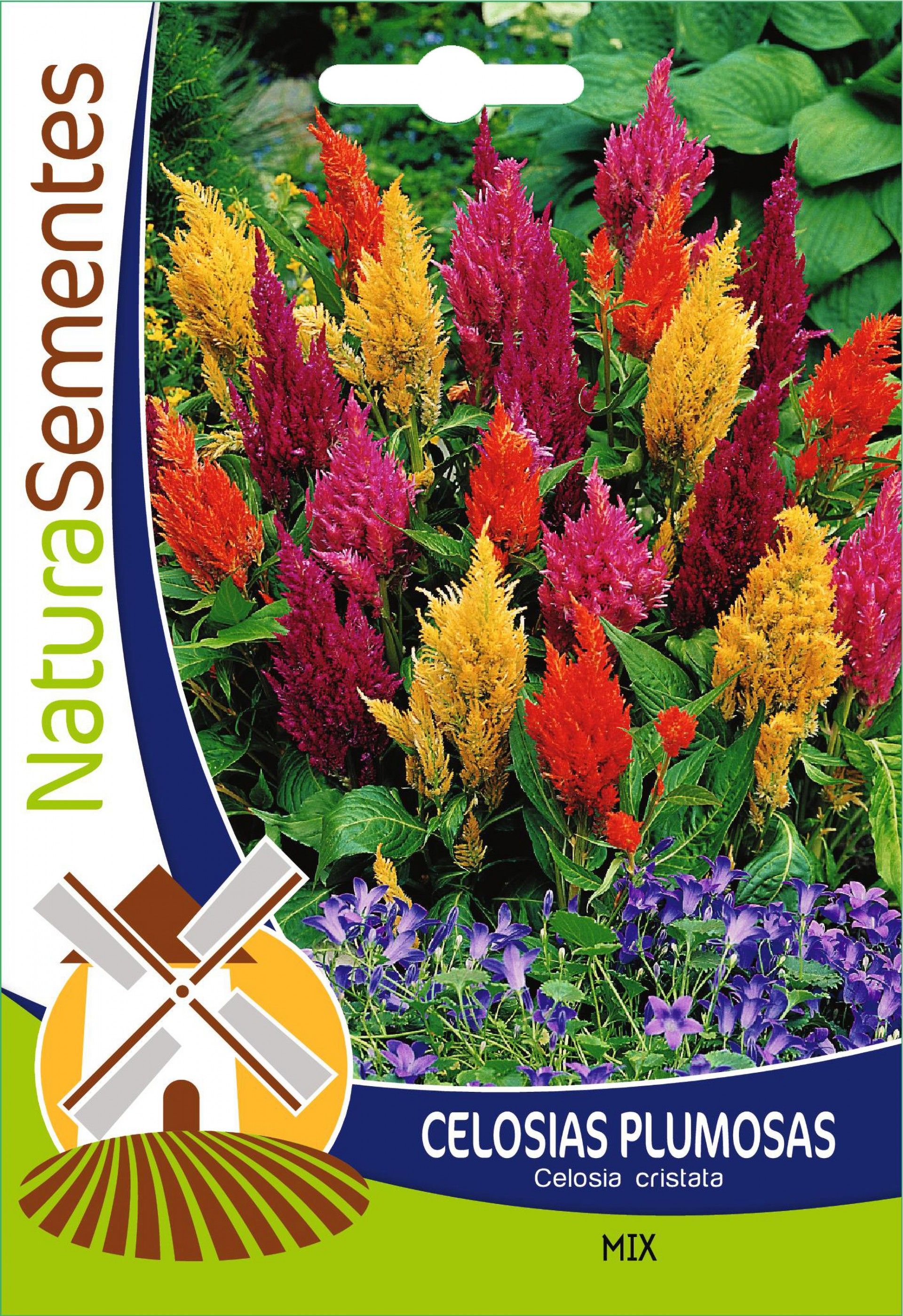 Celosias Plumosas Mix