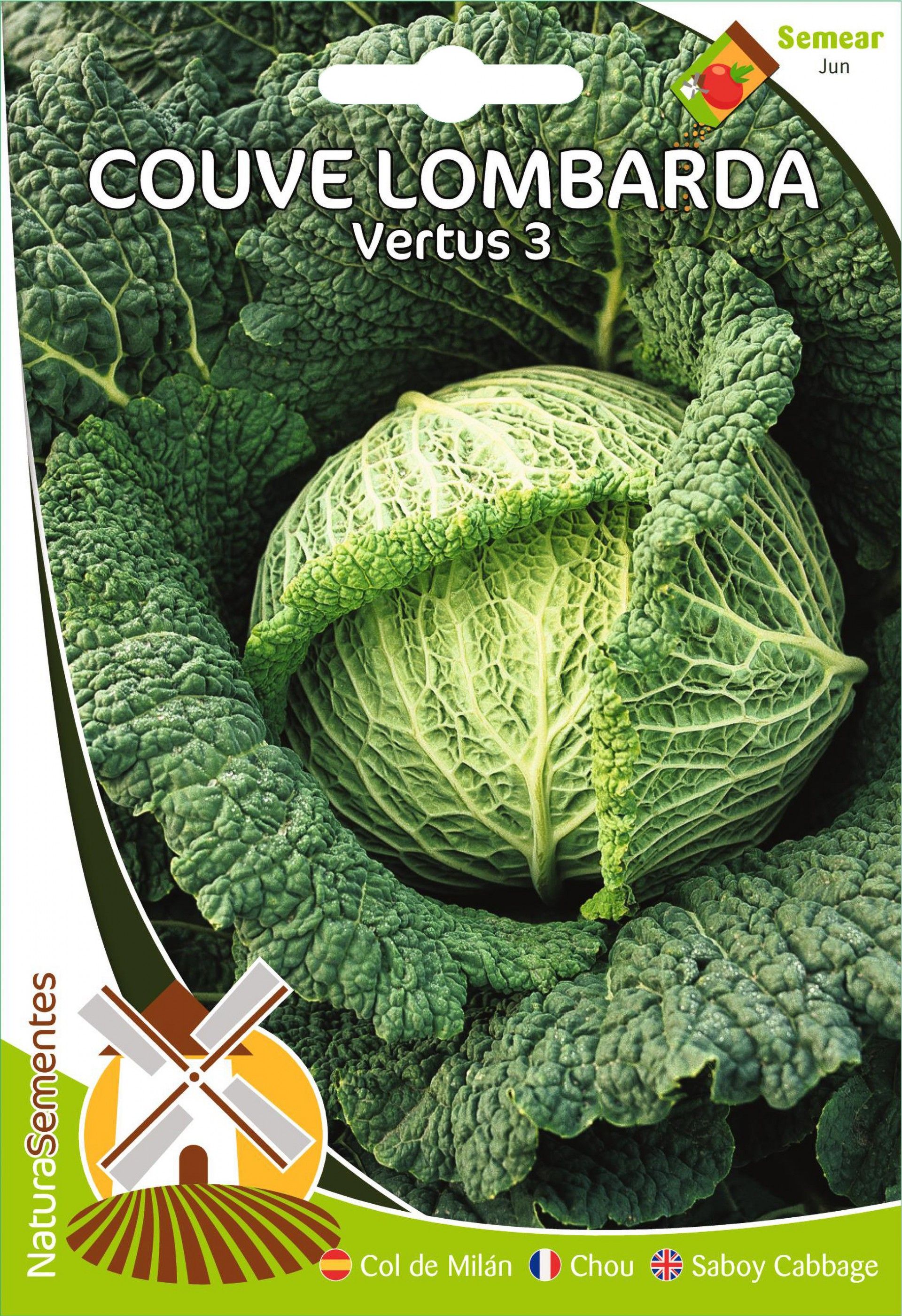 Couve Lombarda Vertus 3