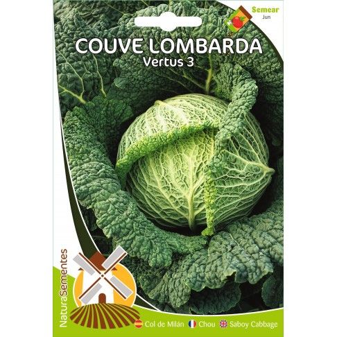 Couve Lombarda Vertus 3 Couve Lombarda Vertus 3