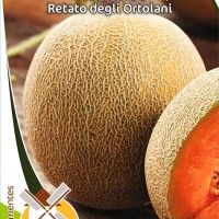 Meloa Retato Degli Ortolani Meloa Retato Degli Ortolani