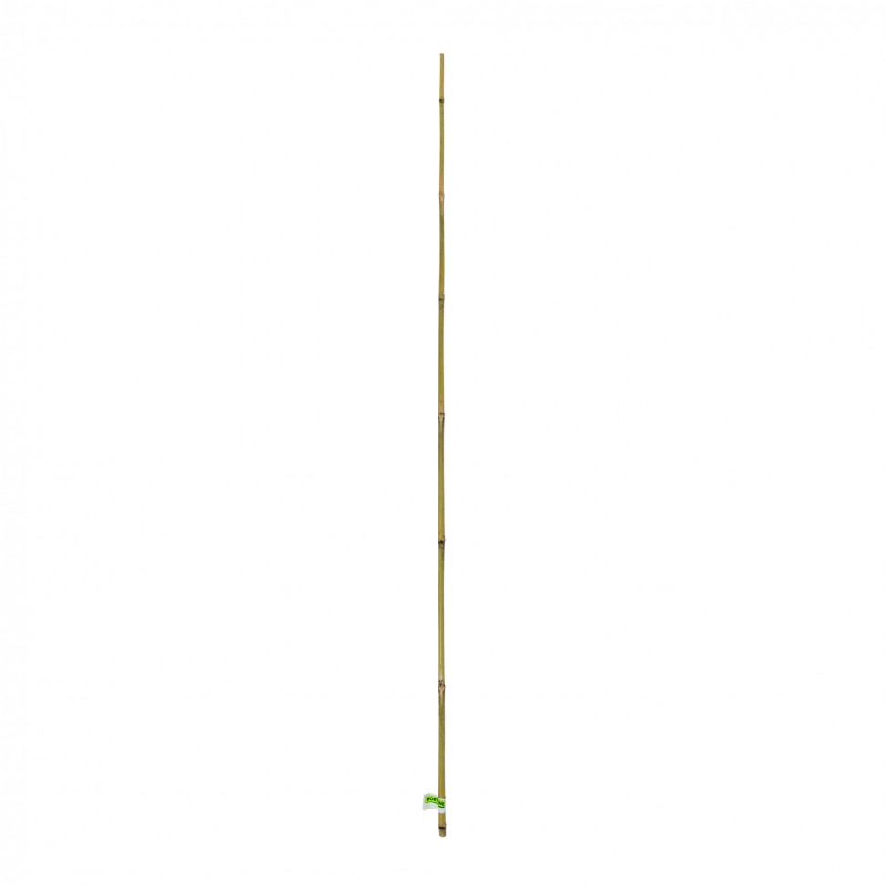 Tutor Bambu 180cm Tutor Bambu 180cm
