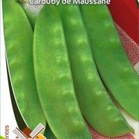 Ervilha Quebrar Carouby Maussane Ervilha Quebrar Carouby Maussane