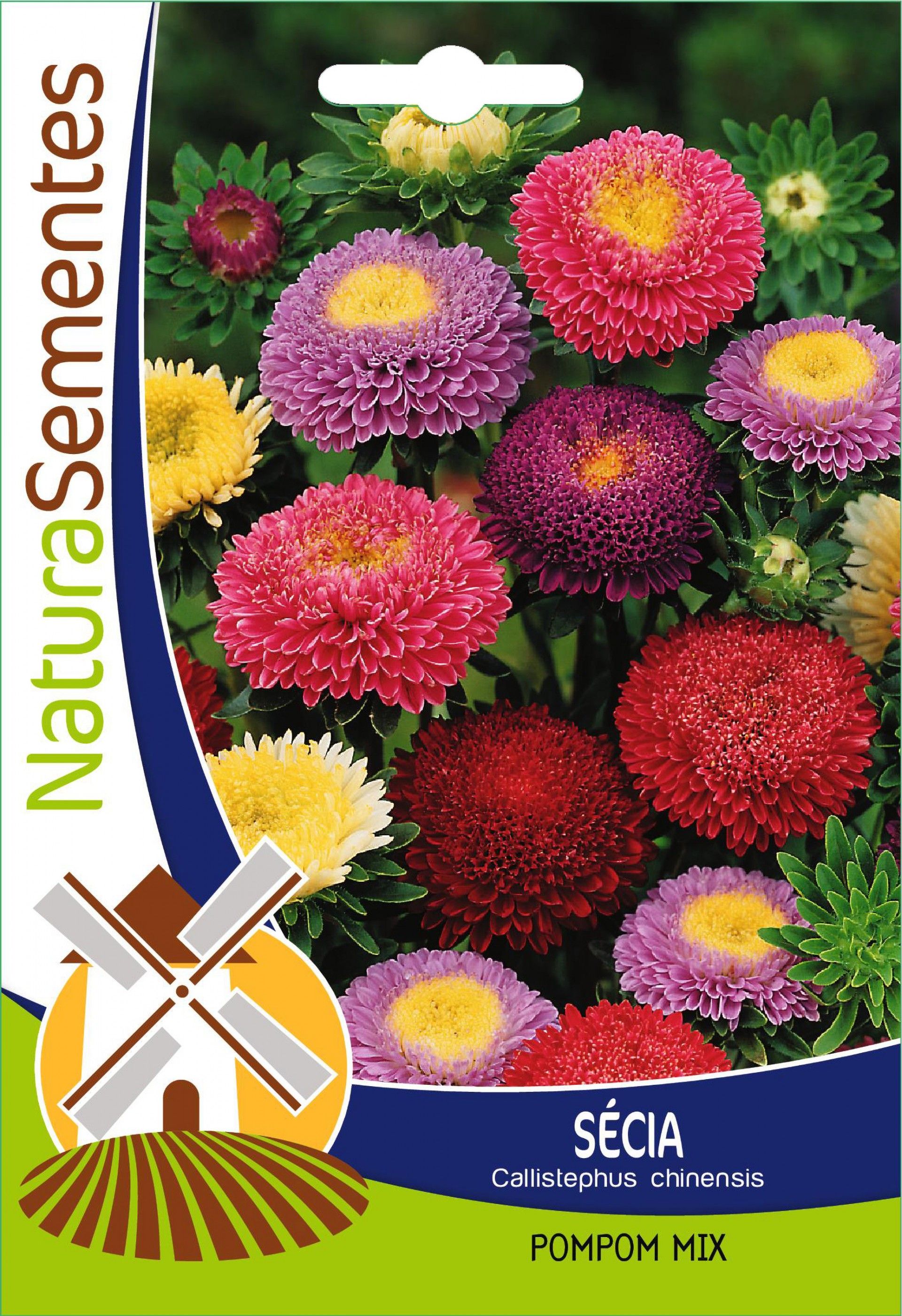 Secias Pompom Mistura