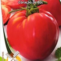 Tomate Coração De Boi Tomate Coração De Boi