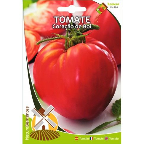 Tomate Coração De Boi Tomate Coração De Boi