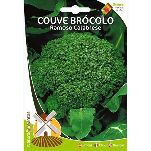 Couve Brócolo Ramoso Calabrese Couve Brócolo Ramoso Calabrese