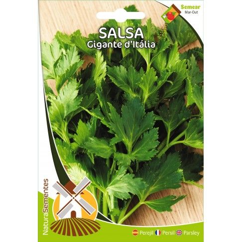 Salsa Gigante D Italia Salsa Gigante D Italia