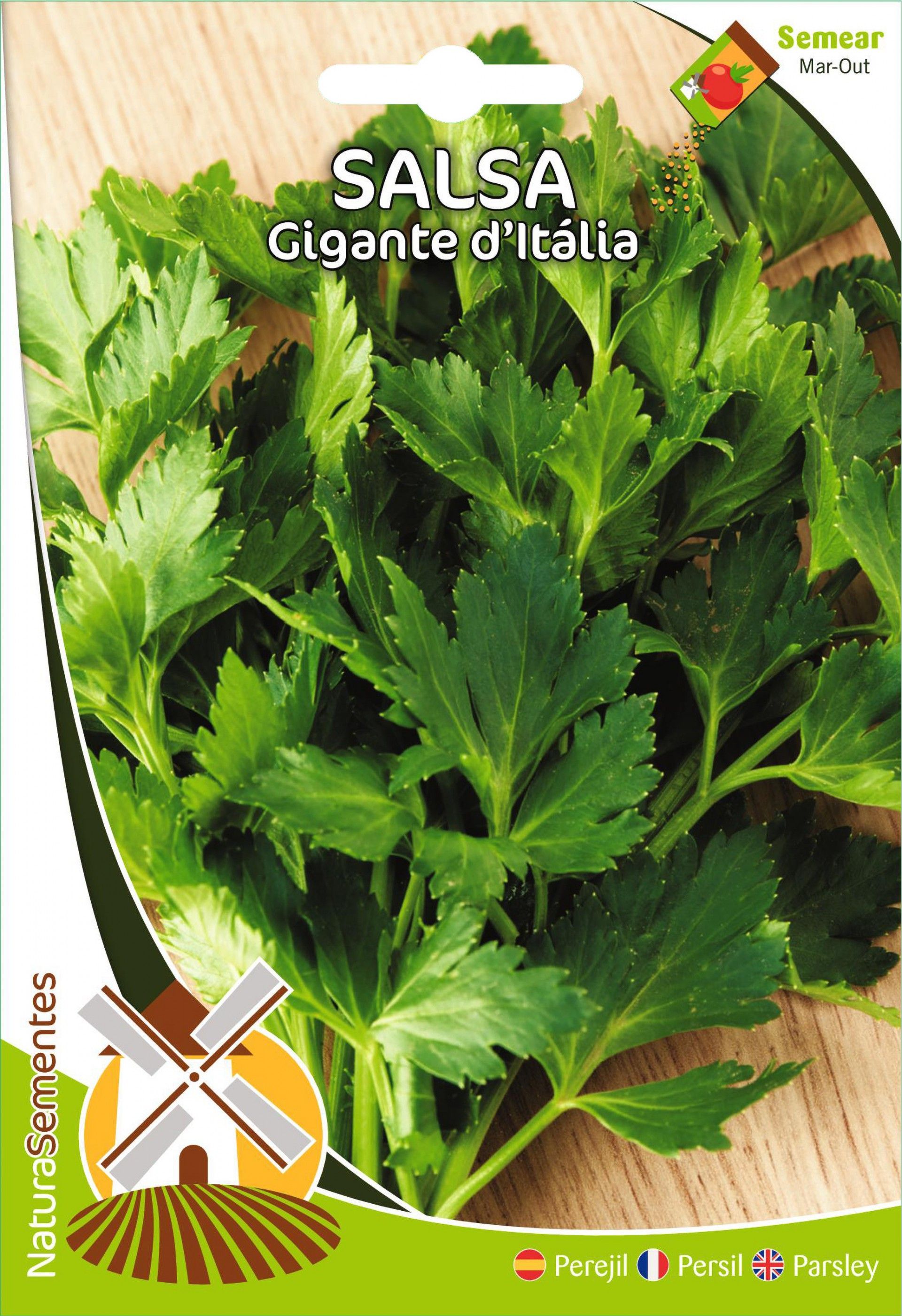 Salsa Gigante D Italia