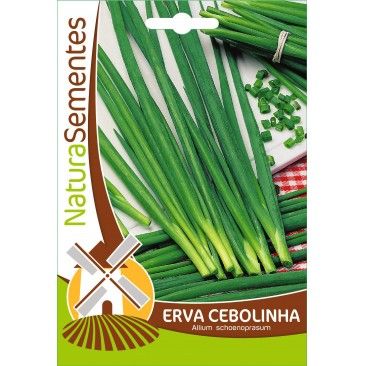 Erva Cebolinha