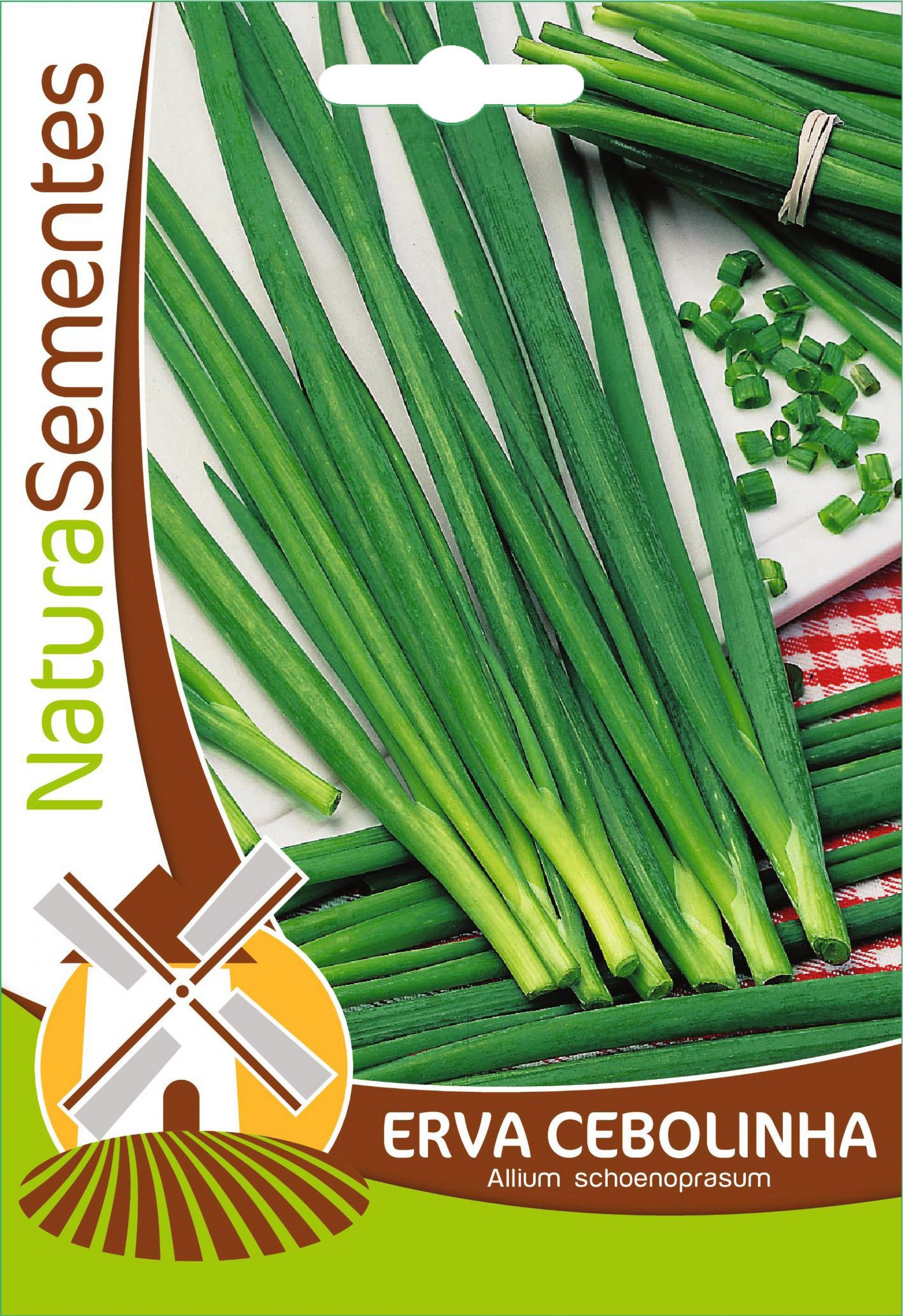 Erva Cebolinha