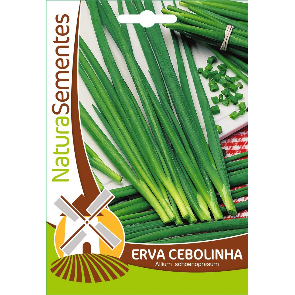 Erva Cebolinha